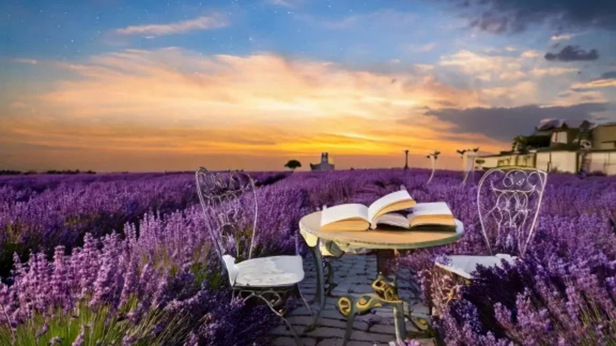 Looking Back: The Past Subjunctive