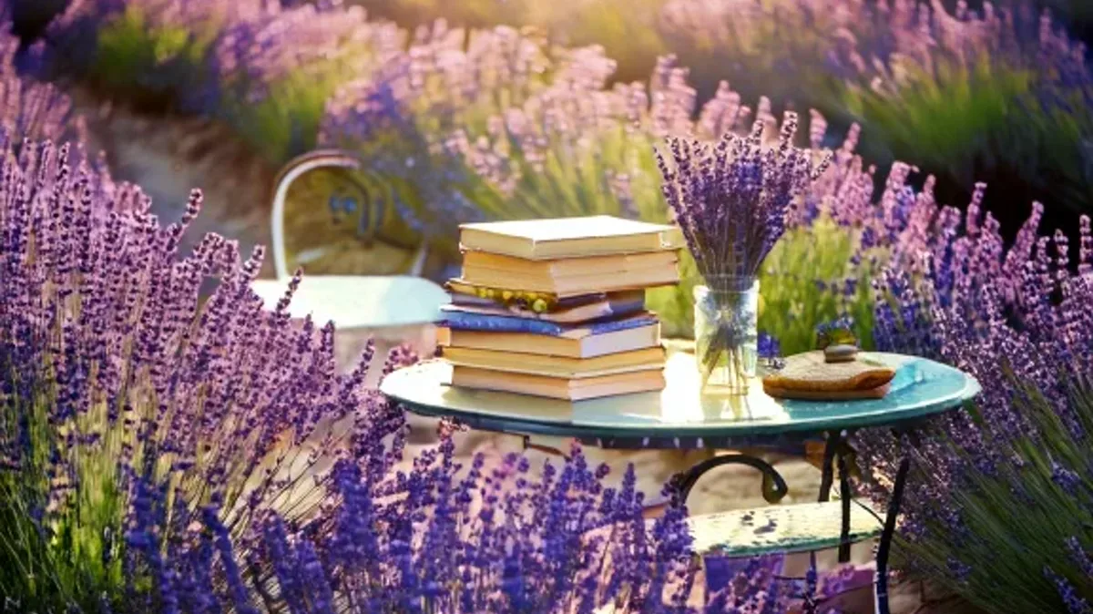 روزمره حرف بزن، نظرتو بگو!