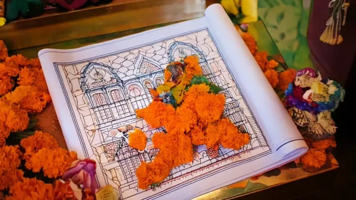 Asking Questions and Confirming Facts