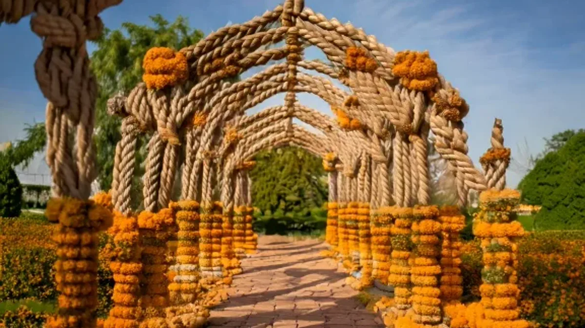 The Art of Emphasis and Pragmatics