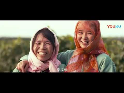 《厉害了, 我的国》 央视大型纪录片 "Amazing China" CCTV large-scale documentary