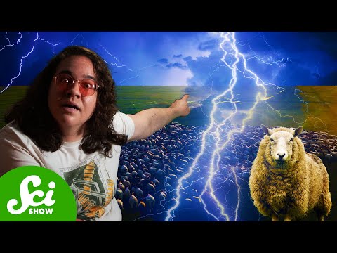 The Single Bolt of Lightning that Killed 835 Sheep